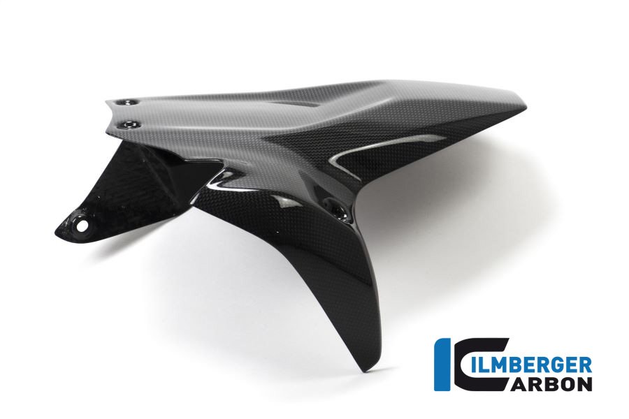 Kotflügel hinten lang glanz DucatiPanigale 1199 / 1299 / V2 DUCATI Panigale V2 2020 - 2024