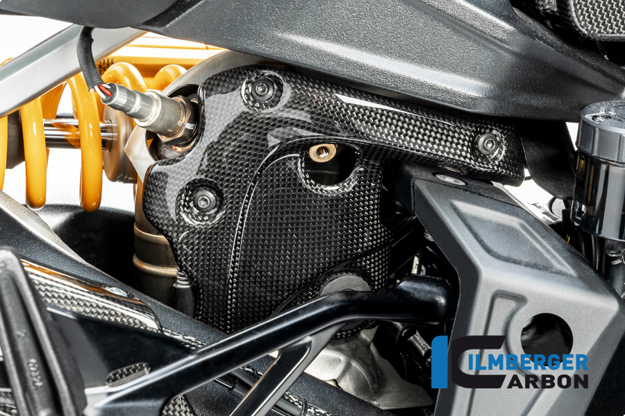 Auspuffhitzeschutz am Krümmer glanz Diavel 1260 DUCATI Diavel 1260 2019-2023
