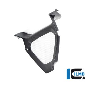 Motorspoilermittelteil / Ölkühlereinlass matt Diavel 1260 DUCATI Diavel 1260 2019-2023