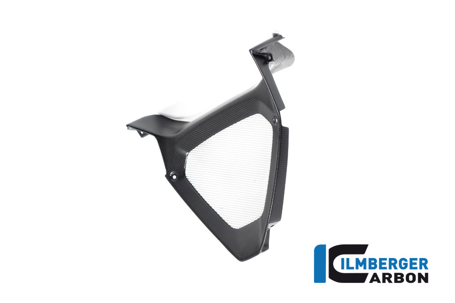 Motorspoilermittelteil / Ölkühlereinlass matt Diavel 1260 DUCATI Diavel 1260 2019-2023