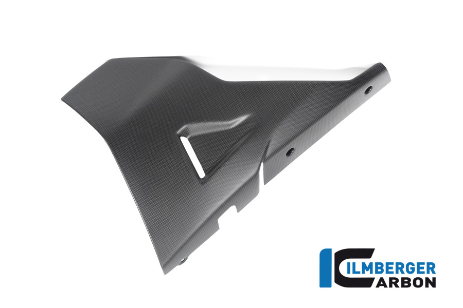 Motorspoiler links matt Diavel 1260 DUCATI Diavel 1260 2019-2023 – Bild 4