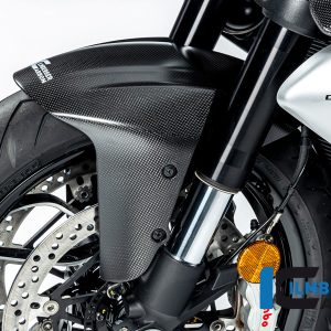 Kotflügel vorne Ducati Diavel V4 ab 2023 matt DUCATI Diavel V4 (ab 2023)