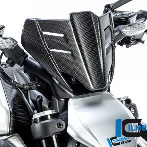 Windschild Ducati Diavel V4 ab 2023 matt DUCATI Diavel V4 (ab 2023)