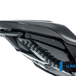 Soziussitzabdeckung Ducati Diavel V4 ab 2023 matt DUCATI Diavel V4 (ab 2023)