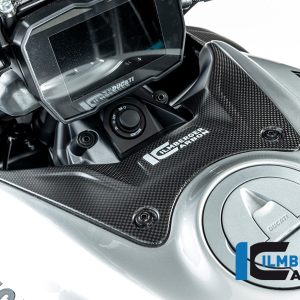 Tankabdeckung Ducati Diavel V4 ab 2023 matt DUCATI Diavel V4 (ab 2023)