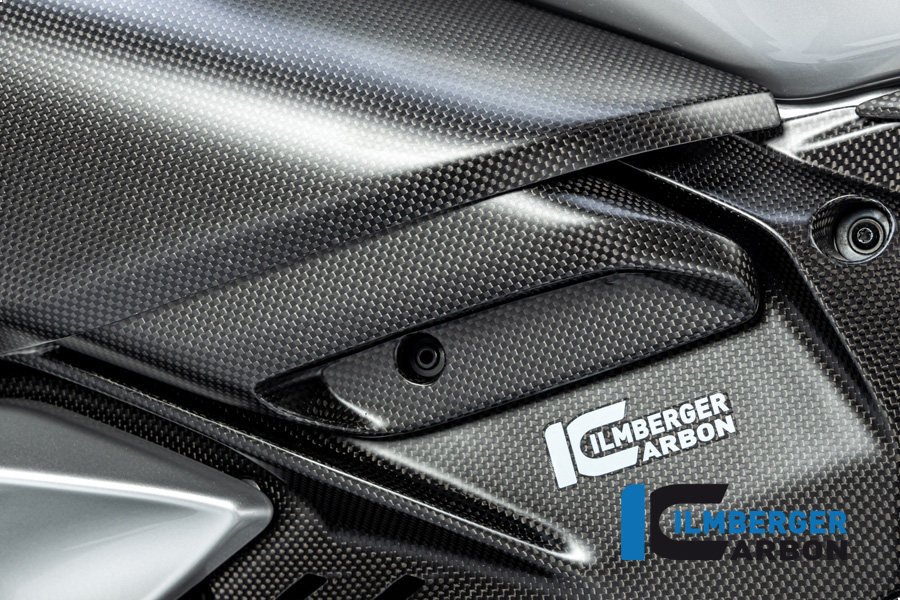 Auslasskanal unter Luftkanal links Ducati Diavel V4 ab 2023 matt DUCATI Diavel V4 (ab 2023)