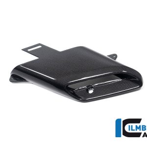 Auslasskanal unter Luftkanal links Ducati Diavel V4 ab 2023 glanz DUCATI Diavel V4 (ab 2023)