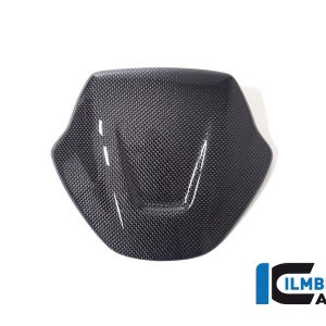 Lampenabdeckung Ducati Diavel V4 ab 2023 glanz DUCATI Diavel V4 (ab 2023)