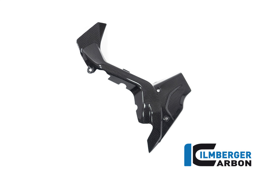 Ritzelabdeckung Ducati Diavel V4 ab 2023 glanz DUCATI Diavel V4 (ab 2023)