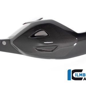 Schwingenschutz Ducati Diavel V4 ab 2023 glanz DUCATI Diavel V4 (ab 2023)