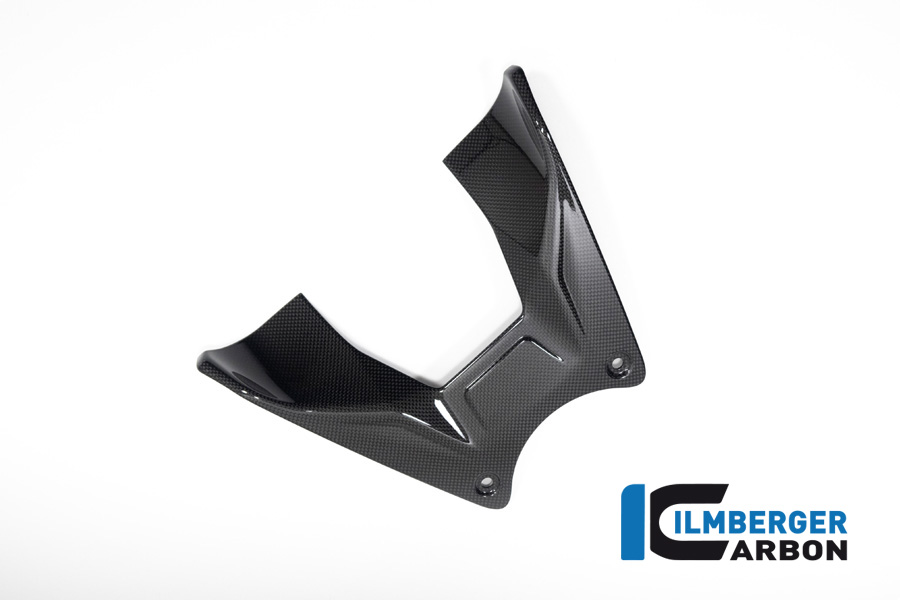 Tankabdeckung Ducati Diavel V4 ab 2023 glanz DUCATI Diavel V4 (ab 2023)