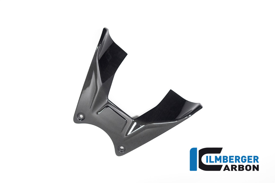 Tankabdeckung Ducati Diavel V4 ab 2023 glanz DUCATI Diavel V4 (ab 2023) – Bild 2