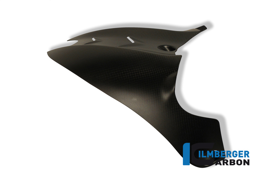 Kotflügel hinten Carbon DUCATI Diavel (2011-2013) – Bild 5