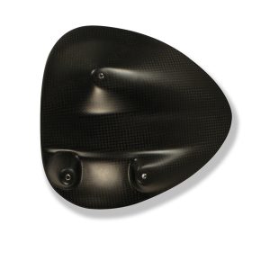 Spritzschutz hinten Carbon DUCATI Diavel (2011-2013)