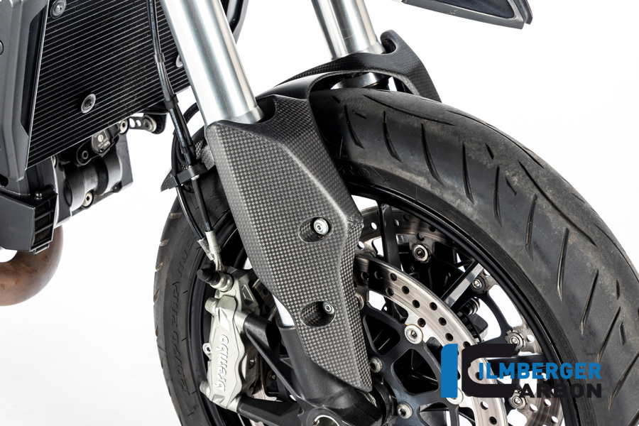 Kotflügel vorne hinteres Teil Ducati Hypermotard ab 2013 Einzelstücke Einzelstücke Ducati