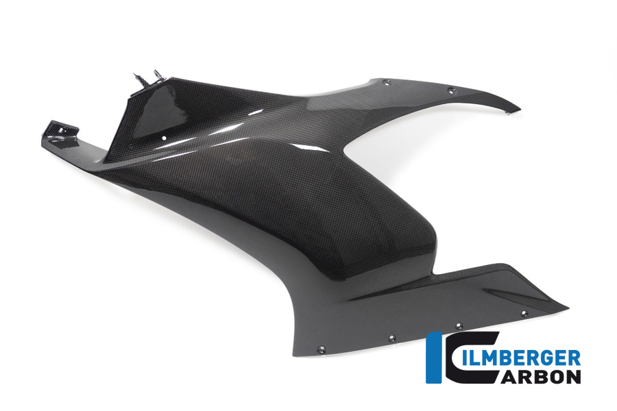 Verkleidungsseitenteil für Winglet vorbereitet links glanz Panigale V2 DUCATI Panigale V2 2020 - 2024