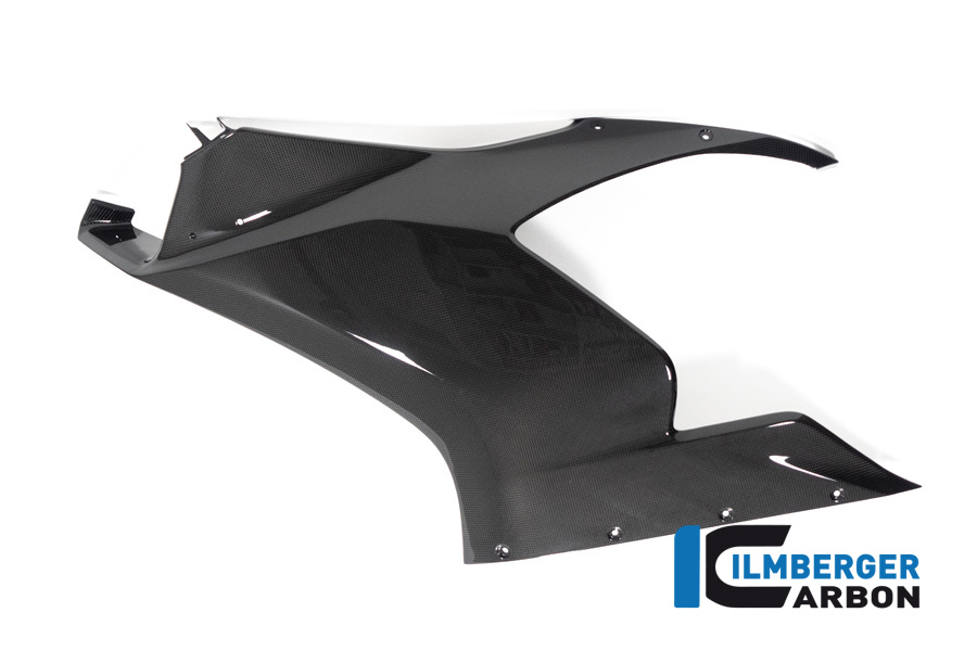 Verkleidungsseitenteil für Winglet vorbereitet links glanz Panigale V2 DUCATI Panigale V2 2020 - 2024 – Bild 3