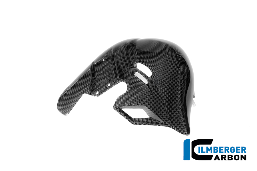 Auspuffhitzeschutz Carbon glanz Panigale V4 2025 DUCATI Streetfighter V4 2025 – Bild 5