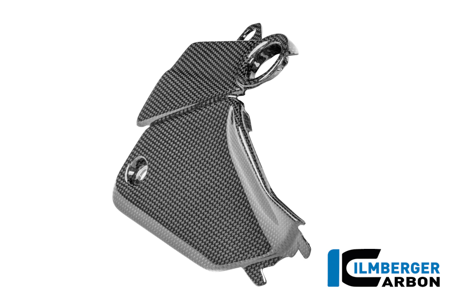 Seitendeckel am tank rechts Carbon glanz Panigale V4 2025 DUCATI Panigale V4 / V4 S (ab 2025) Carbon – Bild 3