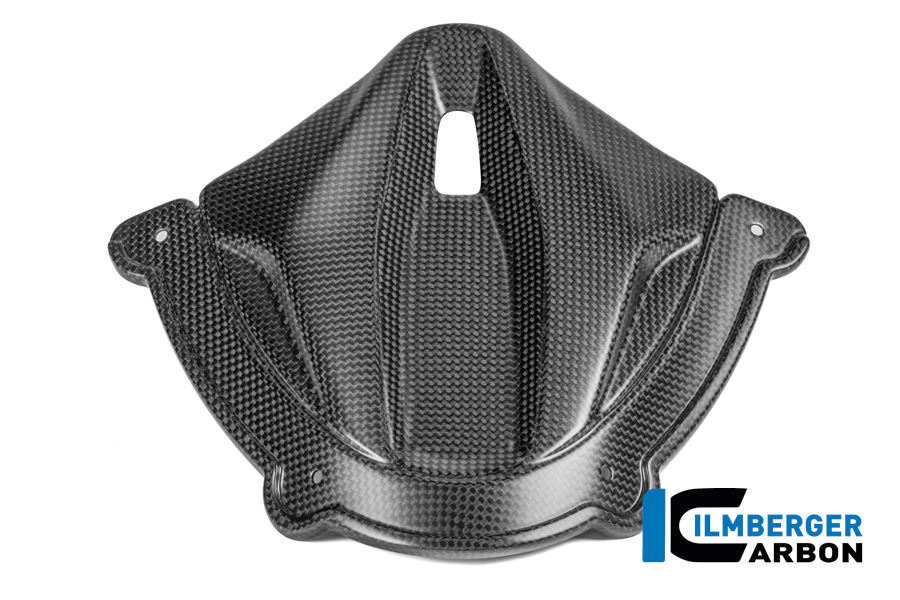 Instrumentenabdeckung Carbon matt Panigale V4 2025 DUCATI Panigale V4 / V4 S (ab 2025) Carbon – Bild 2