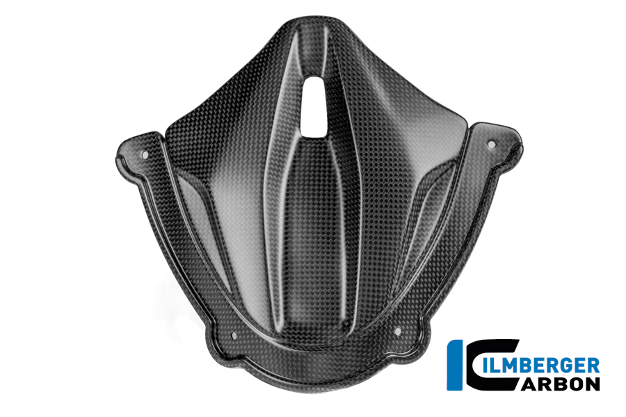 Instrumentenabdeckung Carbon matt Panigale V4 2025 DUCATI Panigale V4 / V4 S (ab 2025) Carbon
