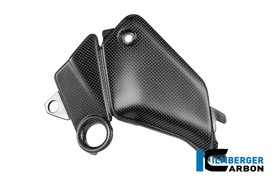 Seitendeckel am tank links Carbon matt Panigale V4 2025 DUCATI Streetfighter V4 2025 – Bild 2