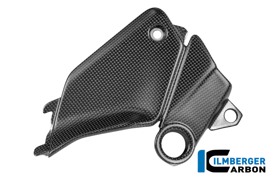 Seitendeckel am tank rechts Carbon matt Panigale V4 2025 DUCATI Streetfighter V4 2025 – Bild 2