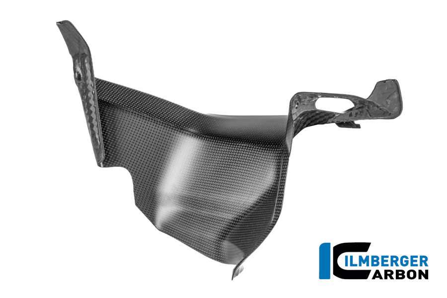 Windkanalabdeckung links Carbon matt Panigale V4 2025 DUCATI Panigale V4 / V4 S (ab 2025) Carbon