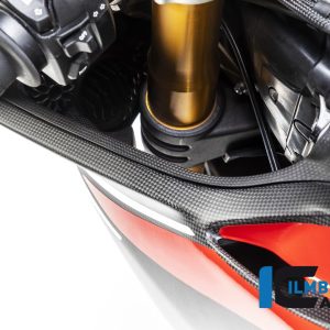 Windkanalabdeckung links matt Panigale V4 / V4 S DUCATI Panigale V4 / V4 S / V4 R (2022-2024)