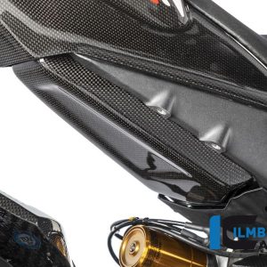 Tankschutz unten am Rahmenheck glanz Panigale V4 Racing DUCATI Panigale V4 / V4 S Racing (2022-2024)