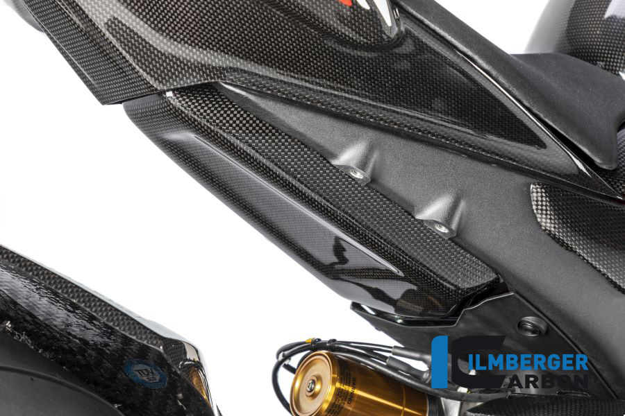 Tankschutz unten am Rahmenheck glanz Panigale V4 Racing DUCATI Panigale V4 / V4 S Racing (2022-2024)
