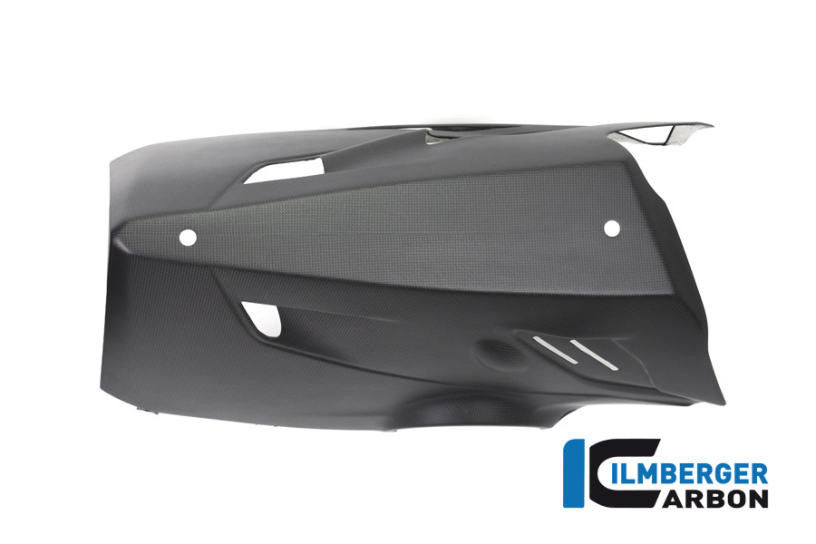 Verkleidungsunterteil Slip On Auspuff.matt Panigale V4 DUCATI Panigale V4 R (2019-2021) – Bild 5