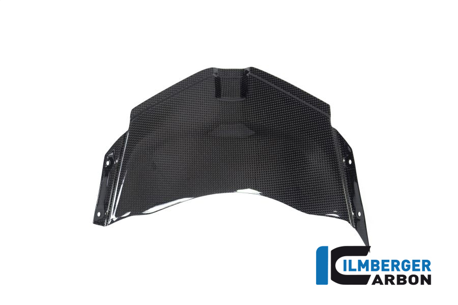 Luftabschottung am Oberteil unten glanz Panigale V4 Racing DUCATI Panigale V4 R Racing (2019-2021) – Bild 3