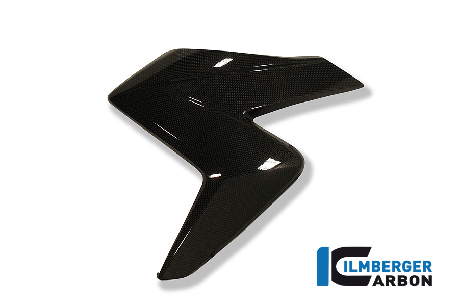 Wasserkühlerverkleidung links Carbon HONDA CB 1000 R 2008-2017 – Bild 4