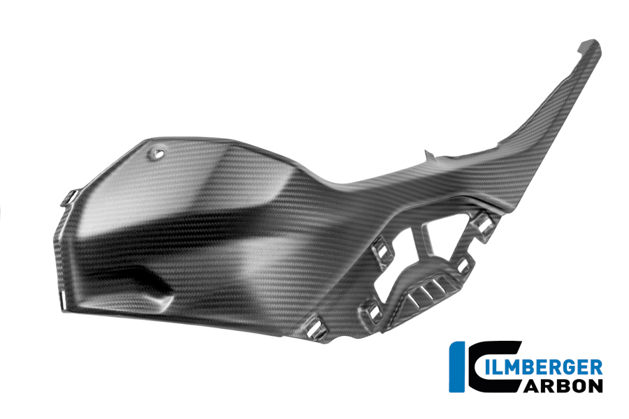 Seitendeckel links am Tank incl Seitendeckeleinsatz BMW S 1000 RR ab Bj 2019 BMW M 1000 RR Strasse ab 2025