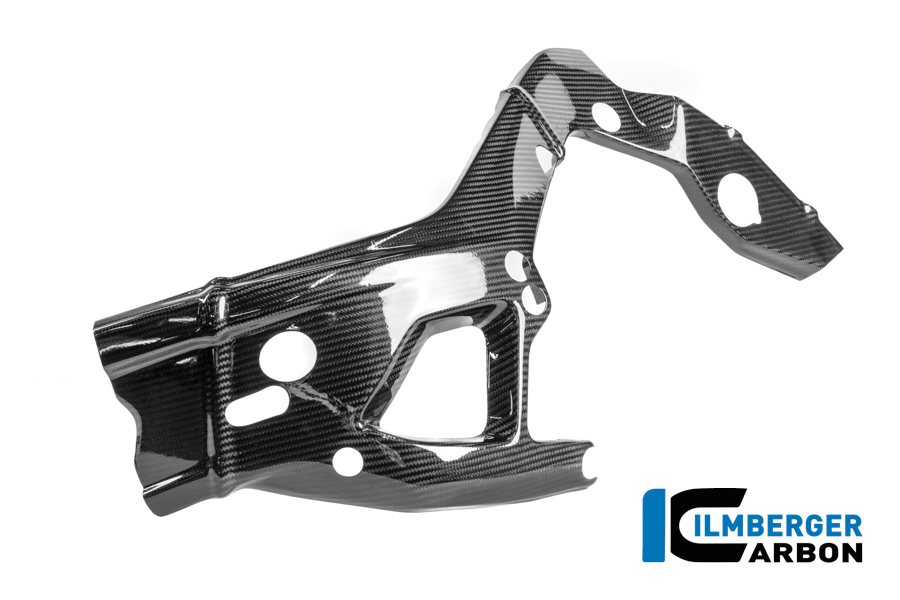 Rahmenschützer links Carbon glanz M 1000 RR Racing (ab 2025) BMW M 1000 RR Racing (ab 2025)
