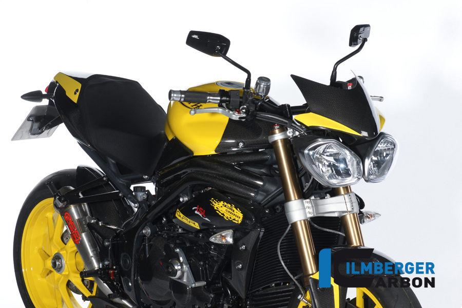 Windschild Carbon TRIUMPH Speed Triple (2011)