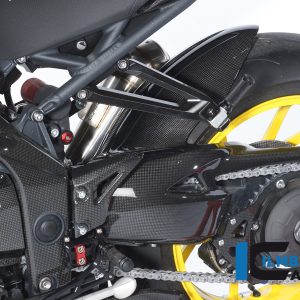 Schwingenschutz Carbon TRIUMPH Speed Triple (2011)