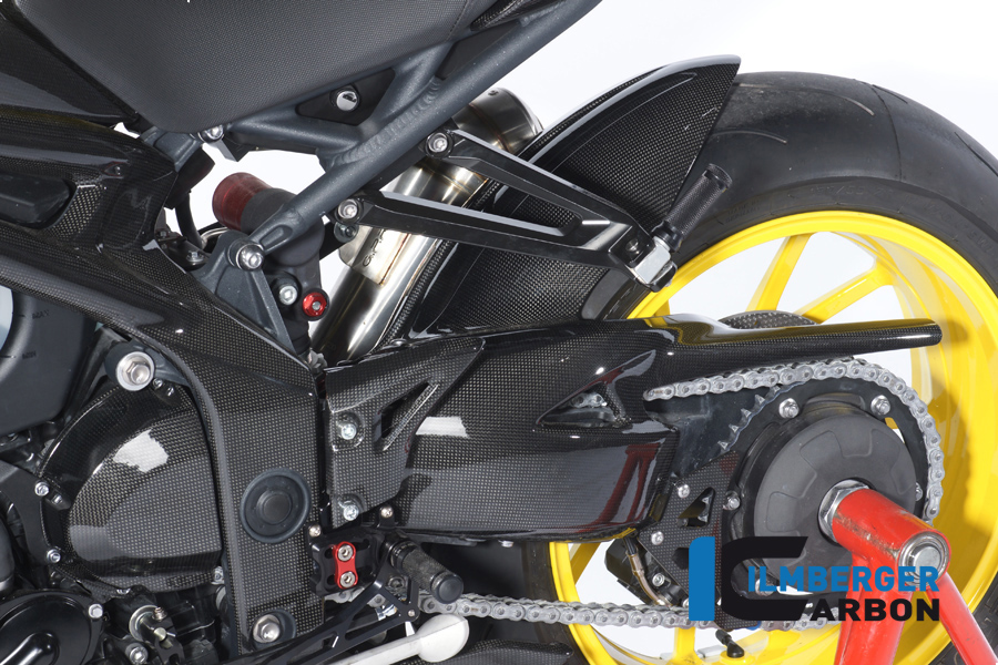 Schwingenschutz Carbon TRIUMPH Speed Triple (2012-2020)