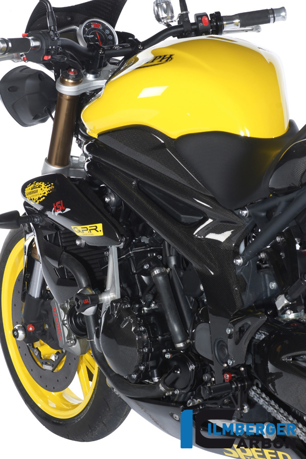 Tankseitendeckel links Carbon TRIUMPH Speed Triple (2012-2020)