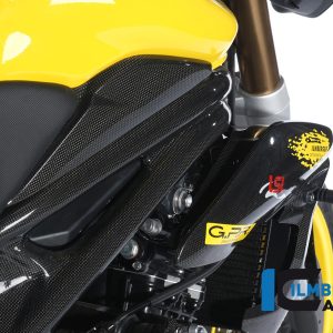 Tankseitendeckel rechts Carbon TRIUMPH Speed Triple (2011)