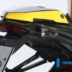Soziussitzabdeckung Carbon TRIUMPH Speed Triple (2011)