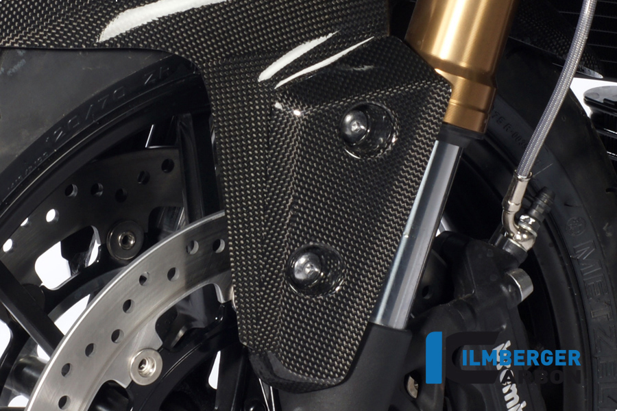Flap am Kotflügel vorne links Carbon TRIUMPH Speed Triple (2011)
