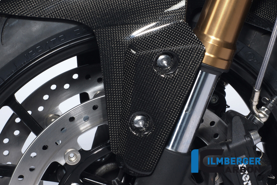 Flap am Kotflügel vorne links Carbon TRIUMPH Speed Triple (2011) – Bild 2