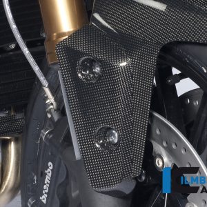 Flap am Kotflügel vorne rechts Carbon TRIUMPH Speed Triple (2011)