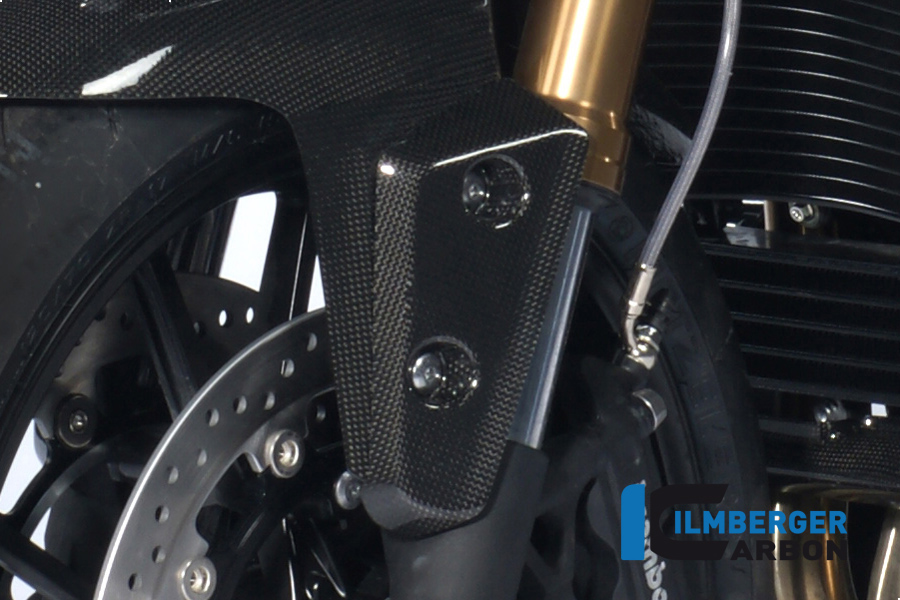 Flap am Kotflügel vorne links Carbon TRIUMPH Speed Triple (2011) – Bild 5