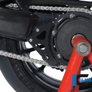 Kettenschutz Carbon TRIUMPH Speed Triple (2011)