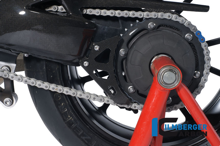 Kettenschutz Carbon TRIUMPH Speed Triple (2011)