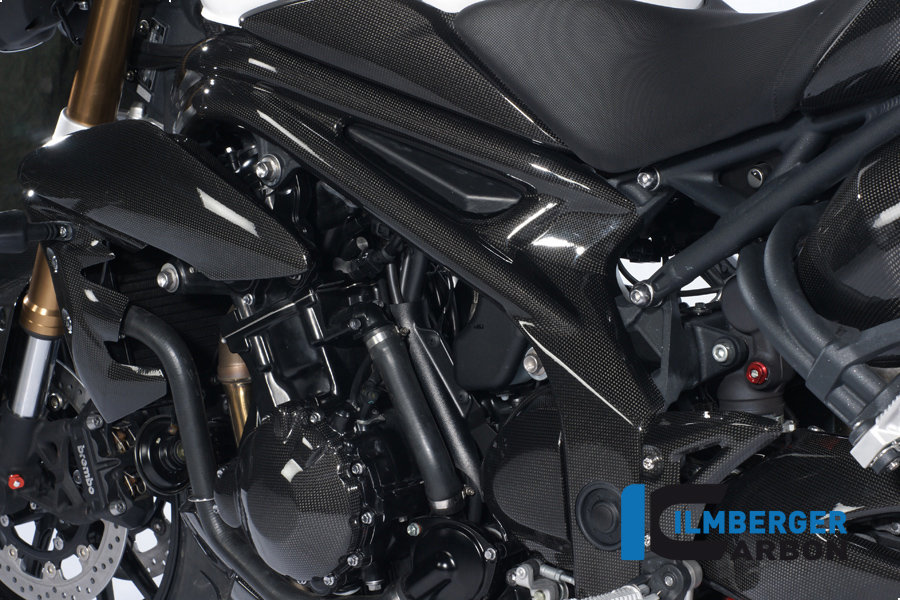 Rahmenabdeckung links Carbon TRIUMPH Speed Triple (2011) – Bild 4