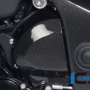 Ritzelabdeckung Carbon TRIUMPH Speed Triple (2011)